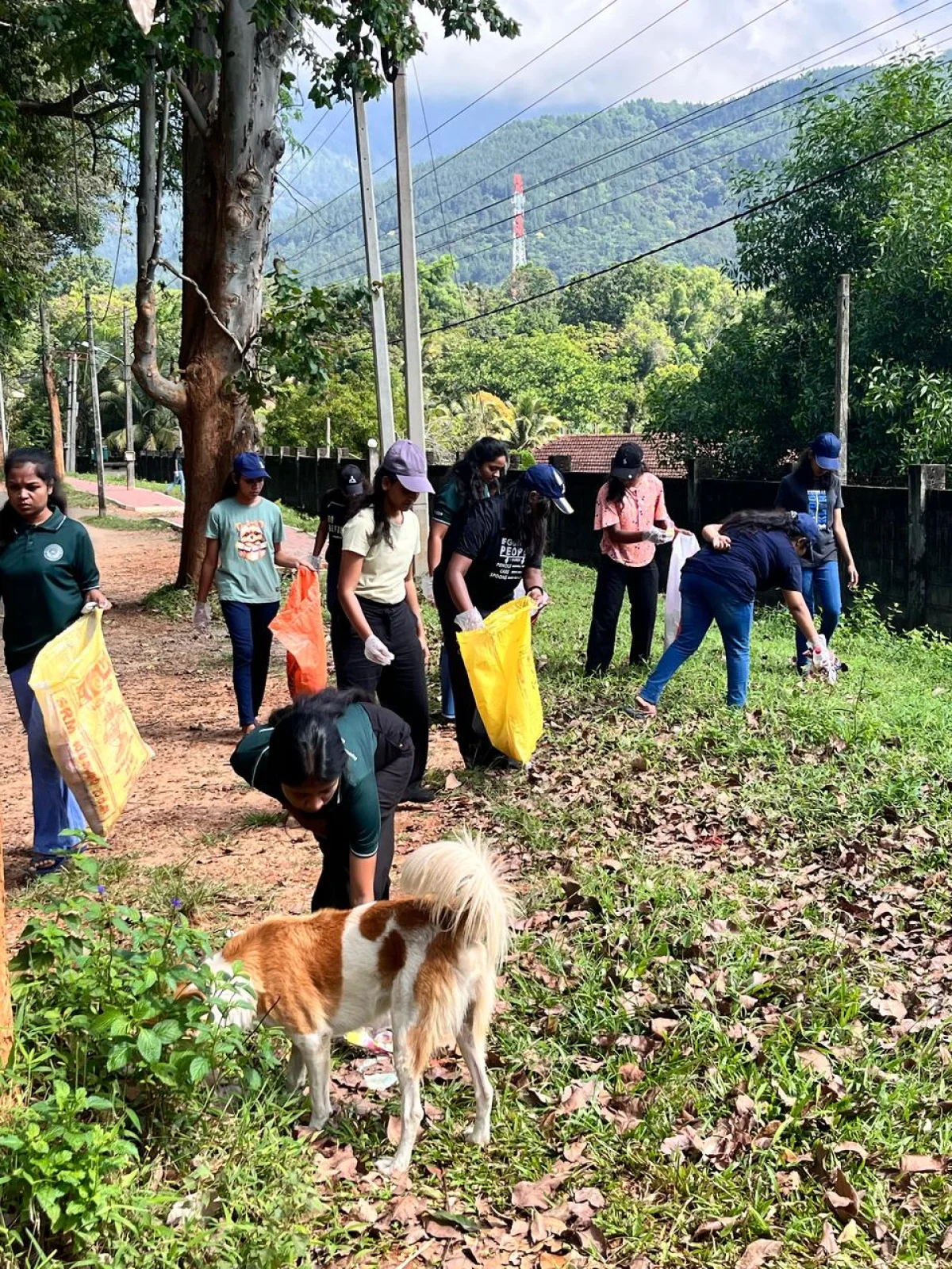 Gallery photo 9 for Pambahinna Area Cleaning Programme Successfully Conducted
