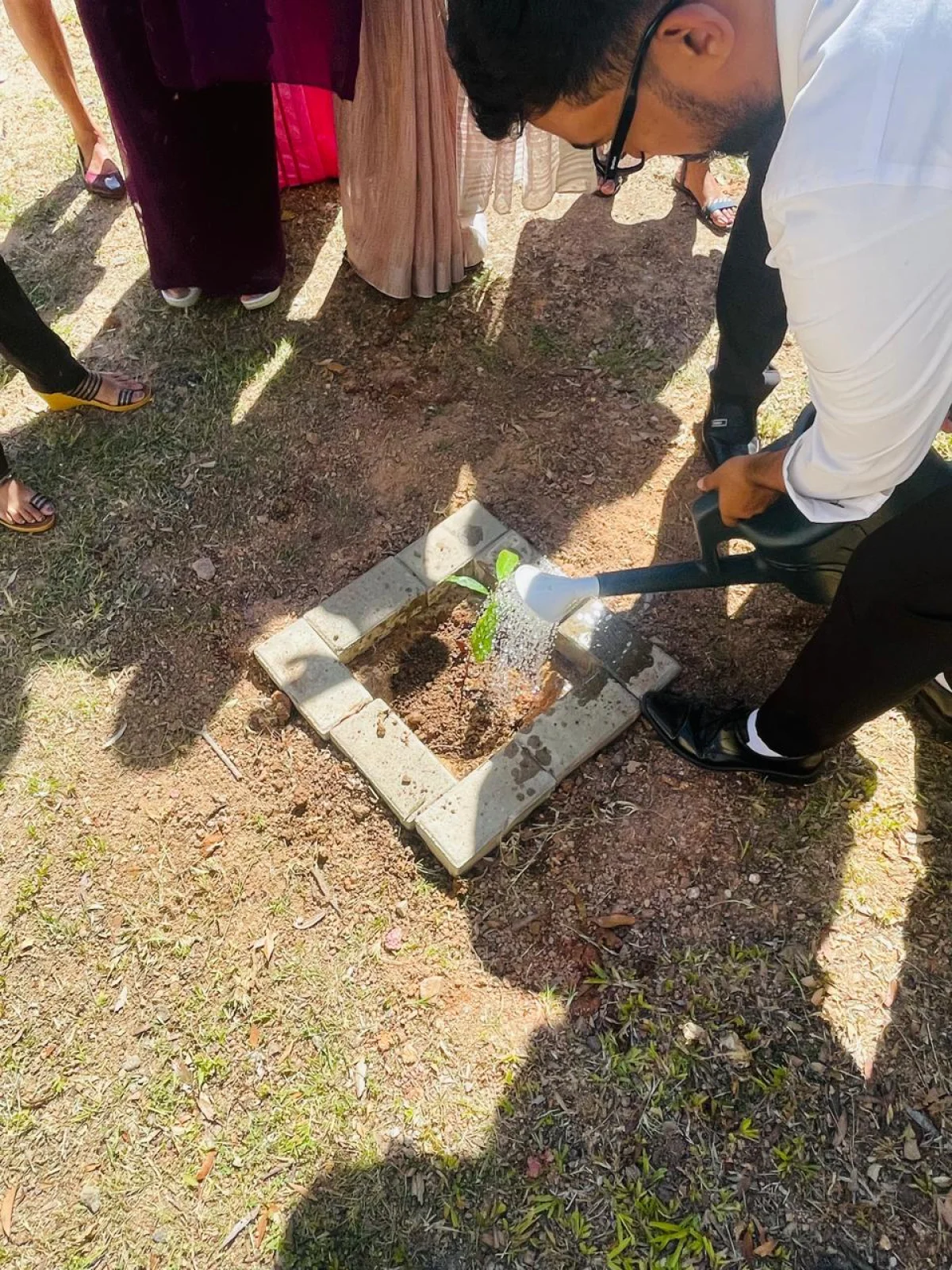 Gallery photo 6 for Tree Planting Campaign Held in Honour of World Environment Day